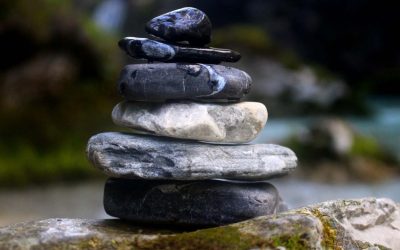 Insurance, Reinsurance and the Transfer of Risk in the (Re)Insurance Industry