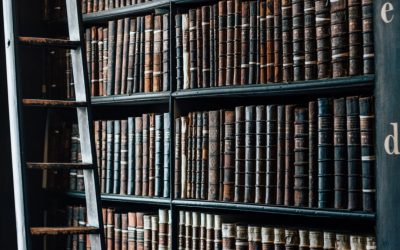 Reinsurance and Insurance Education